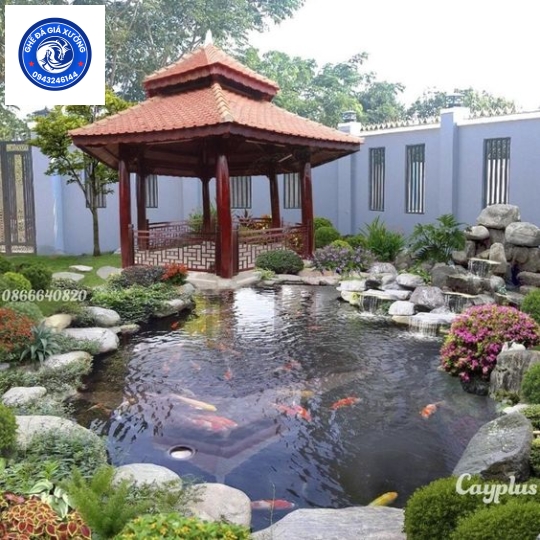 Xu Hướng Mới Năm 2024